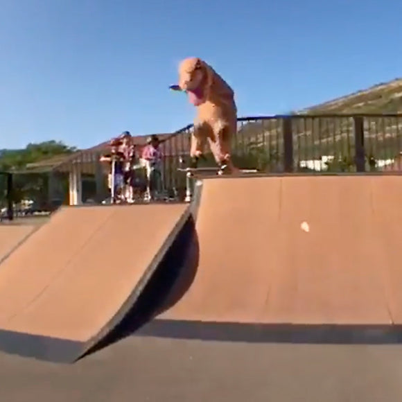 T-Rex Skates Oahu's Local Parks
